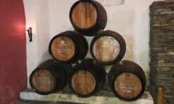 Oporto: un viaje al pasado con presente