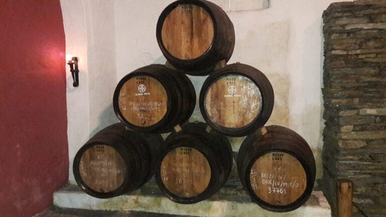 Barriletes de vino de Oporto, bodegas en Oporto